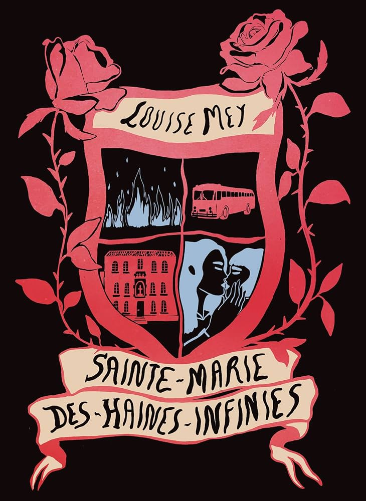 Couverture du livre Sainte-Marie des-Haines-Infinies de Louise Mey