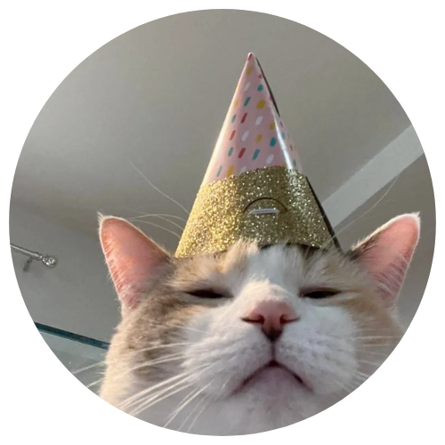 chat blanc et roux portant un petit chapeau festif